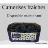 Camerises Fraiche panier 1 litre