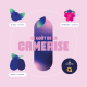 Camerises Fraiche panier 1 litre