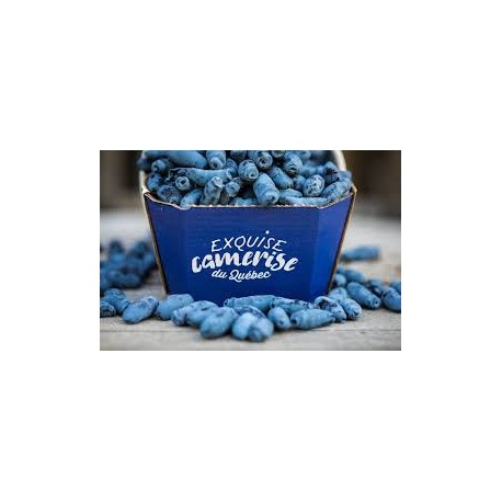 Camerises Fraiche panier 1 litre