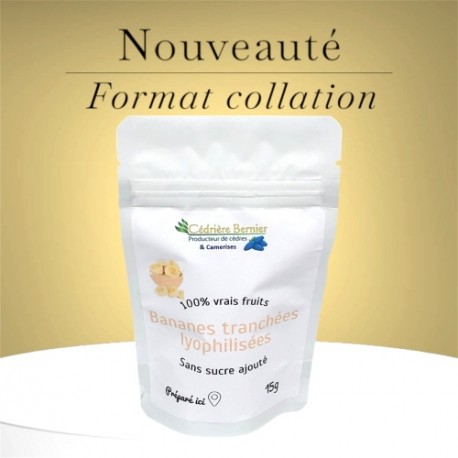 Bananes tranchées lyophilisées 15g
