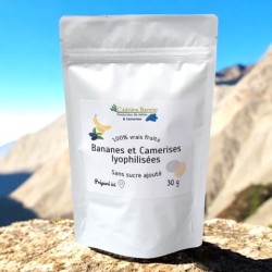 Bananes et Camerises lyophilisées